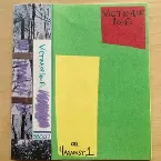 Pochette Victim of Lo-Fi