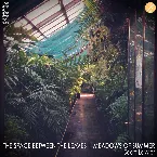 Pochette The Space Between the Leaves / Meadows of Summer