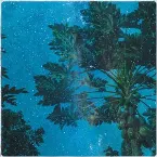Pochette Entity
