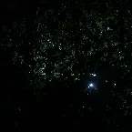 Pochette Arden Heim EP