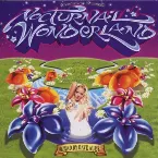 Pochette Nocturnal Wonderland