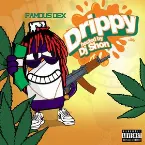 Pochette Drippy