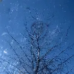 Pochette Elstern finden mich