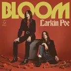 Pochette Mockingbird (Unplugged)