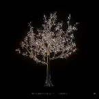 Pochette Hope