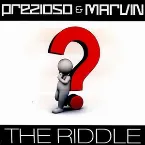 Pochette The Riddle