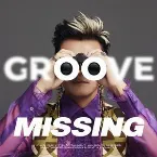Pochette Groove Missing