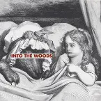 Pochette Into the Woods