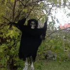 Pochette Another Odyssey of Waiting