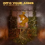 Pochette Into Your Arms