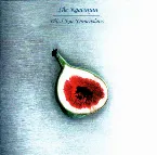 Pochette Third Eye Dimensions