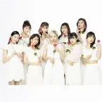 Pochette 青春ゾンビィィズ