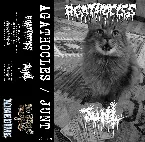 Pochette Split