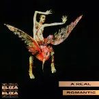 Pochette A Real Romantic
