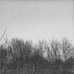 Pochette GN / Scanner