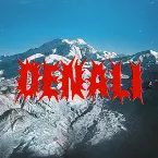 Pochette Denali