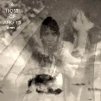 Pochette A host of angles (instrumentals)