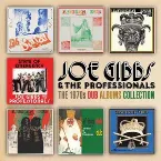 Pochette The 1970s Dub Albums Collection