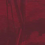 Pochette I Have a Computer