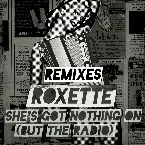 Pochette She’s Got Nothing On (but the Radio)