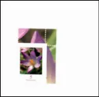 Pochette Volition I II III / Oskaréhs Waldtaubenspatziergang