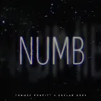 Pochette Numb