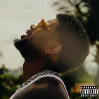 Pochette The Vices