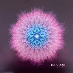 Pochette Le Jardin des rêves