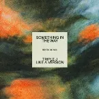 Pochette Something in the Way (triple j Like a Version)