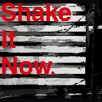 Pochette Shake It Now.