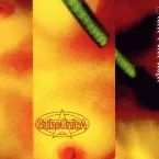 Pochette Tutti i miei sbagli