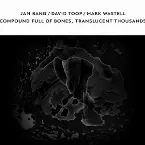 Pochette Compound Full of Bones, Translucent Thousands