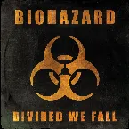 Pochette Divided We Fall