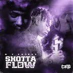 Pochette Shotta Flow 5
