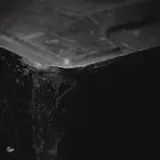 Pochette Alter Schwede