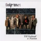 Pochette `Till Ireland a Nation ...