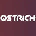 Pochette Say My Name (Ostrich remix)