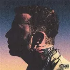 Pochette Salmo Unplugged