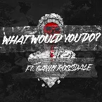 Pochette What Would You Do?