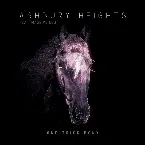 Pochette One Trick Pony