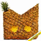 Pochette Piña Colada