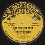 Pochette That Wonderful Sound / My Little Red Top