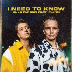 Pochette I Need to Know