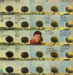 Pochette The Very Best of Don Gibson