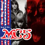 Pochette The Big Bang: The Best of the MC5