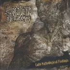 Pochette Late Pathological Findings / Requisite Procedures for Gore