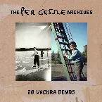 Pochette 20 Vackra Demos