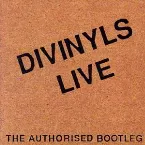 Pochette Divinyls Live