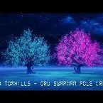 Pochette Oru Swapnam Pole (Derby Tomhills remix)