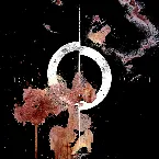 Pochette Like a Parasite